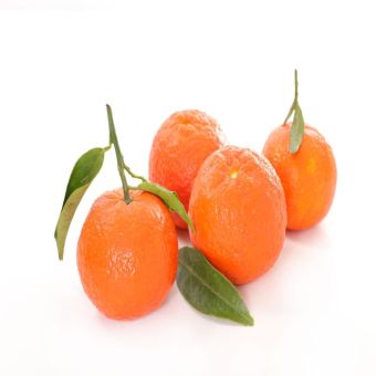 Cherrys-1xBox (T.C)02